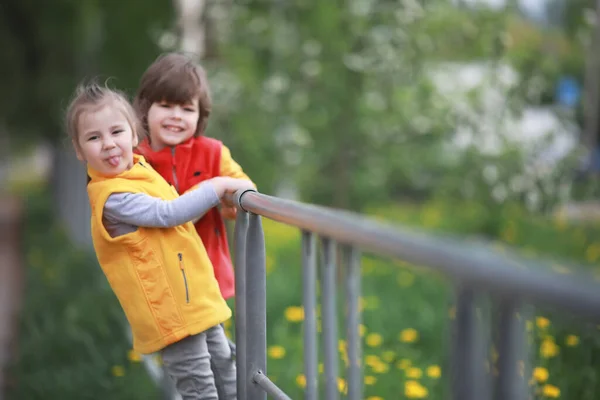 Little Child Spring Day Walk Flower Fiel — Stock Photo, Image