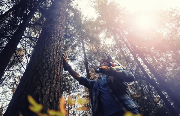 Maschio Lavoratore Con Ascia Tagliare Albero Nella Foresta — Foto Stock