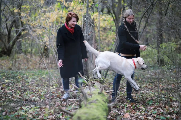 Tonårstjej Med Mamma Hundpromenad Höstträdgården — Stockfoto