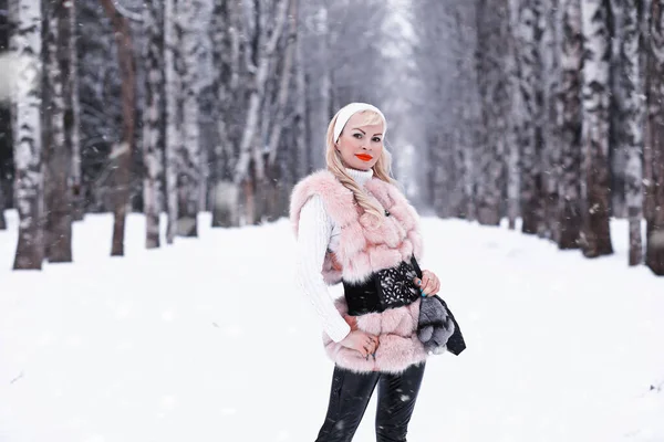 Blondes Mädchen Bei Einem Spaziergang Einem Winterpark Mit Bewölktem Himmel — Stockfoto