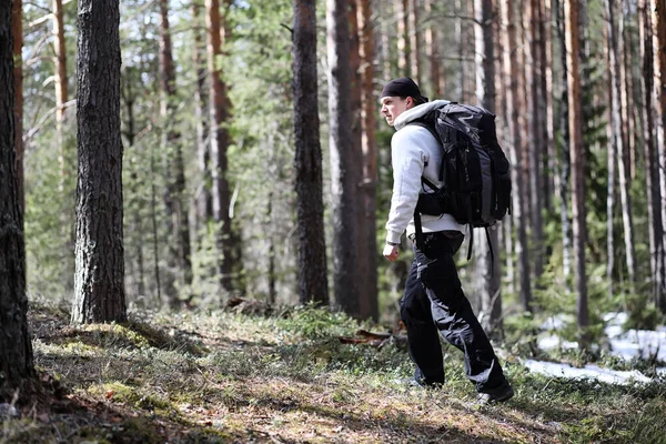 Člověk Jako Turista Borovém Lese Batohem Pěší Výlet Lese Borovice — Stock fotografie