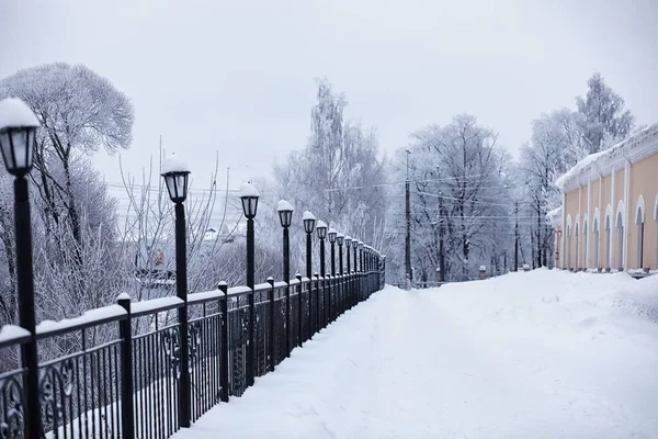 Winterliche Waldlandschaft Hohe Bäume Unter Einer Schneedecke Frosttag Januar Park — Stockfoto