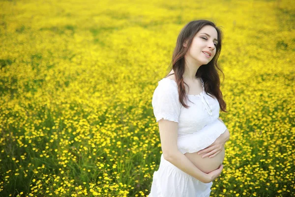 Pregnant Woman Dress Field Flowers Royalty Free Stock Images