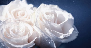 Bir buket taze çiçek. Sevdiğine bayram hediyesi. Sevgililer Günü arkaplanı. Gül, lale, Iris çiçek aranjmanı.