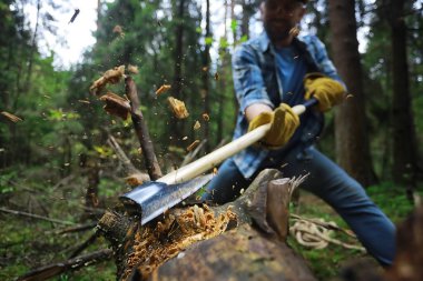 Ormanda ağaç kesen baltalı bir erkek işçi..