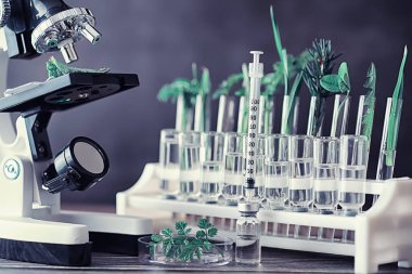 Mikroskop ve laboratuvarda masada ayrılıklar. Yeşiller gmos üzerinde çalışma.