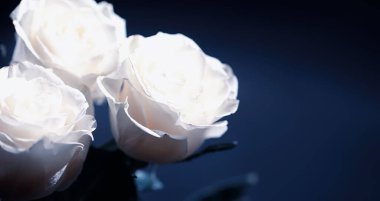 Bir buket taze çiçek. Sevdiğine bayram hediyesi. Sevgililer Günü arkaplanı. Gül, lale, Iris çiçek aranjmanı.