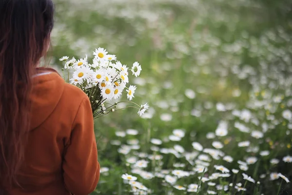 Beautiful Girl Collects Daisies Summer Day — Stock Photo, Image