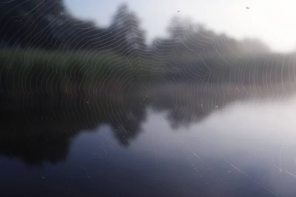 Niebla Lago Mañana Naturaleza Agua Niebla Blanca — Foto de Stock