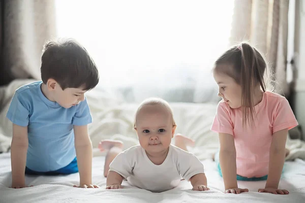 Children Lie Bed Next Newborn Baby Little Sister Children Emotions — Stock Photo, Image