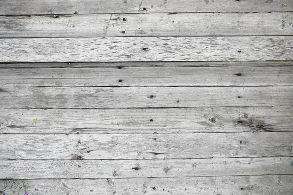 Wood Background Wood Texture Shabby Old Tree — Stock Photo, Image