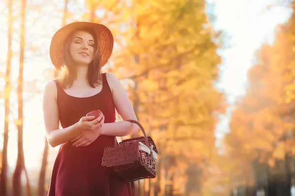 A girl in a hat on a walk in the park. A girl with a basket walks in autumn. Girl is walking along the road at sunset