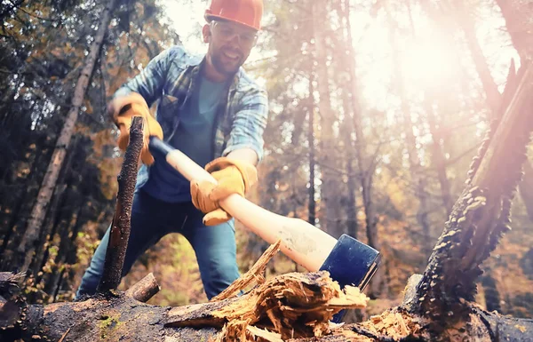 Trabajador Masculino Con Hacha Cortando Árbol Bosque —  Fotos de Stock