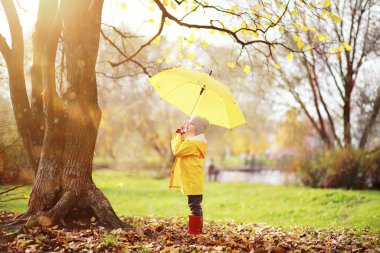 Çocuklar sonbahar parkında sonbaharda yürürler