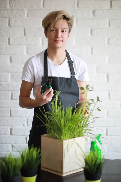 A young Asian youth takes care of indoor plant