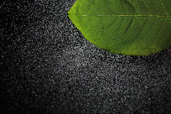 Macro Tiro Uma Pétala Flor Com Salpicos Baixas Água Textura — Fotografia de Stock