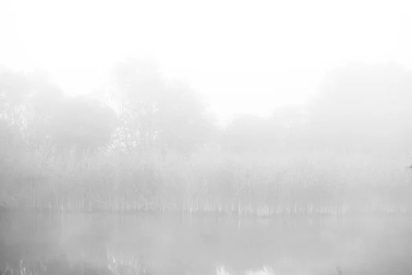 Dimma Sjön Morgon Natur Vatten Och Vit Dimma — Stockfoto