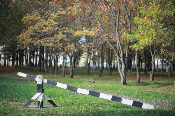 Gündüz Vakti Parkta Sonbahar Arkaplanı — Stok fotoğraf