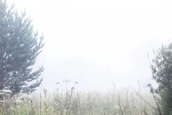 Nebel Auf Dem Feld Abendliche Natur Sommer Mit Weißem Nebel — Stockfoto