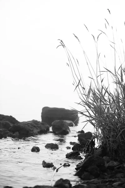 Nebel See Morgens Natur Wasser Und Weißer Nebel — Stockfoto