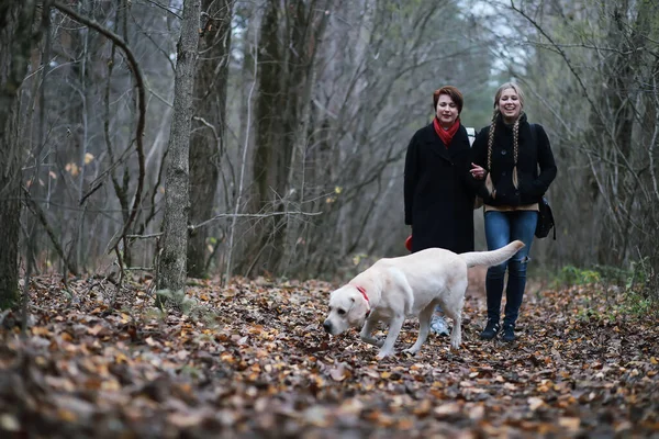 Menina Adolescente Com Mãe Passeio Cão Jardim Outono — Fotografia de Stock