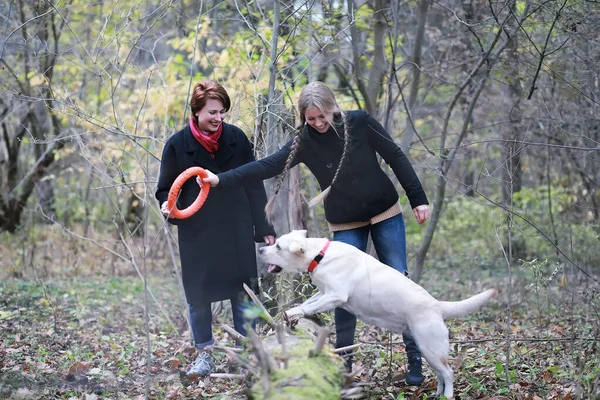 Tonårstjej Med Mamma Hundpromenad Höstträdgården — Stockfoto