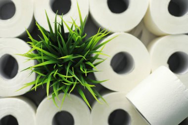 Tuvalet kağıdı rulo halinde. Kar beyazı, yumuşak, üç katmanlı tuvalet kağıdı. Hijyen ürünleri eksikliği. Birincil koruma ve dezenfeksiyon.