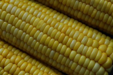 Taze kokulu mısır ve tuz. Çiftlik çerezi taze mısır. Sağlıklı kahvaltı ve sağlıklı yaşam tarzı konsepti.