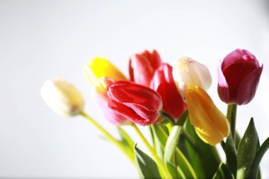 Bir buket taze çiçek. Sevdiğine bayram hediyesi. Sevgililer Günü arkaplanı. Gül, lale, Iris çiçek aranjmanı.