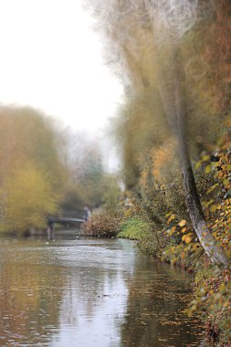 Da sırasında parkta Sonbahar backgroun yağmur