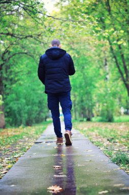 Parlak bahar, şafakta ormanda yeşilleniyor. Doğa ilkbaharın başlarında canlanır..