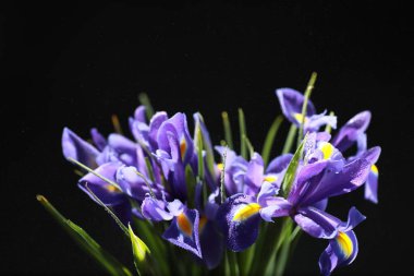 Bir buket taze çiçek. Sevdiğine bayram hediyesi. Sevgililer Günü arkaplanı. Gül, lale, Iris çiçek aranjmanı.