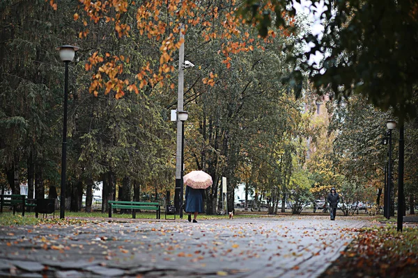 秋天雨在公园期间 — 图库照片