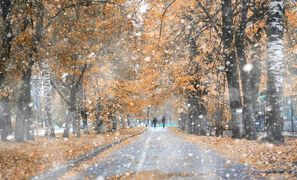 Herfst Park Dagen Van Eerste Sno — Stockfoto