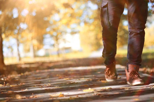 Autumn Park Człowiek Idzie Ścieżką Liści — Zdjęcie stockowe