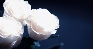 Bir buket taze çiçek. Sevdiğine bayram hediyesi. Sevgililer Günü arkaplanı. Gül, lale, Iris çiçek aranjmanı.