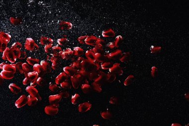 Olgun tatlı nar tohumlarına su damlaları düşer. Metnin için kopyalama alanı olan taze nar arkaplanı. Vejetaryen ve vejetaryen kavramı.