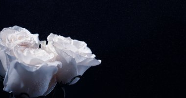 Bir buket taze çiçek. Sevdiğine bayram hediyesi. Sevgililer Günü arkaplanı. Gül, lale, Iris çiçek aranjmanı.