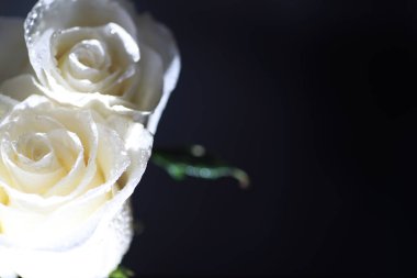 Bir buket taze çiçek. Sevdiğine bayram hediyesi. Sevgililer Günü arkaplanı. Gül, lale, Iris çiçek aranjmanı.