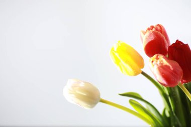 Bir buket taze çiçek. Sevdiğine bayram hediyesi. Sevgililer Günü arkaplanı. Gül, lale, Iris çiçek aranjmanı.