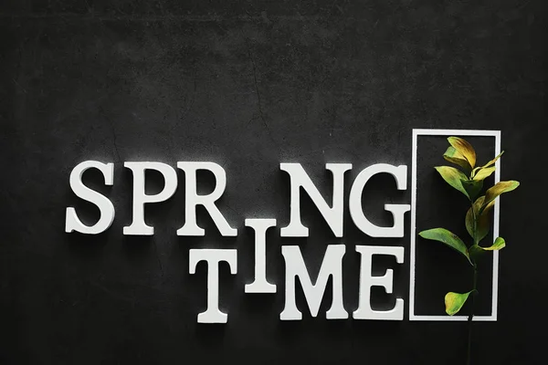 Poster Concept Dark Background Inscription Springtime — Stock Photo, Image