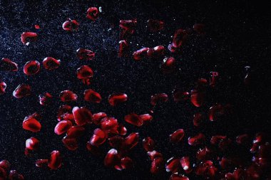 Olgun tatlı nar tohumlarına su damlaları düşer. Metnin için kopyalama alanı olan taze nar arkaplanı. Vejetaryen ve vejetaryen kavramı.