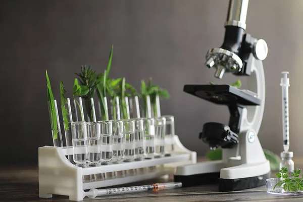 Microscópio Peças Mesa Laboratório Estudo Sobre Ogm Verduras — Fotografia de Stock
