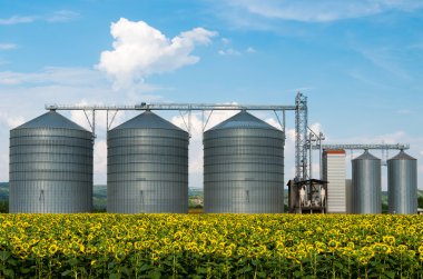 Tahıl depolama siloları.
