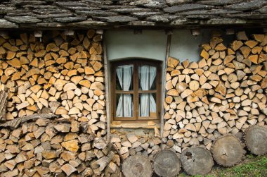 Vahşi doğada siper al.