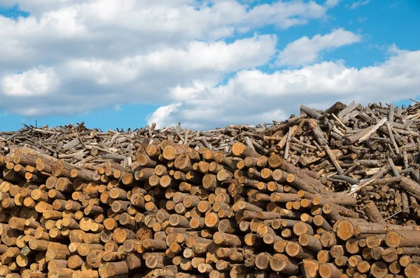 Logga. Industrin destruktiv karaktär. — Stockfoto