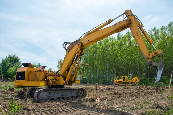 Preparación mecánica del sitio para la silvicultura . — Foto de Stock