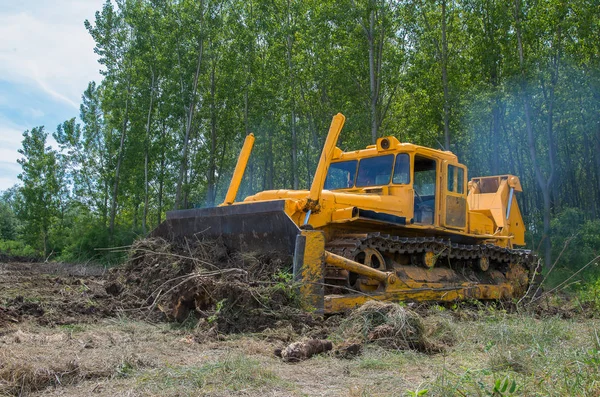 Bulldozer. Erradicar el bosque . — Foto de Stock