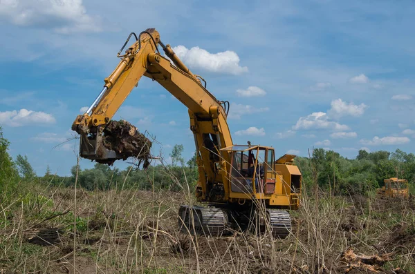 Aprovechamiento de tierras forestales para la agricultura. Destrucción de bosques con excavadora . — Foto de Stock