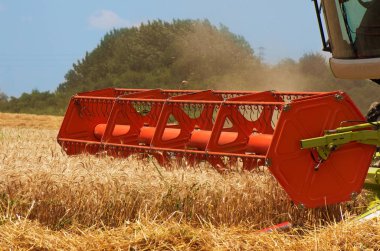 Hasat. Bir buğday alanında çalışan birleştirme.